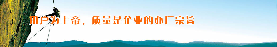 成功案例
